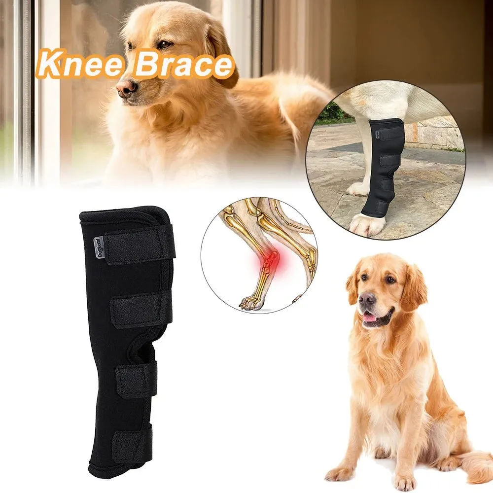 AnniePaw Dog Support Wrap - Wrist and Leg Support Brace