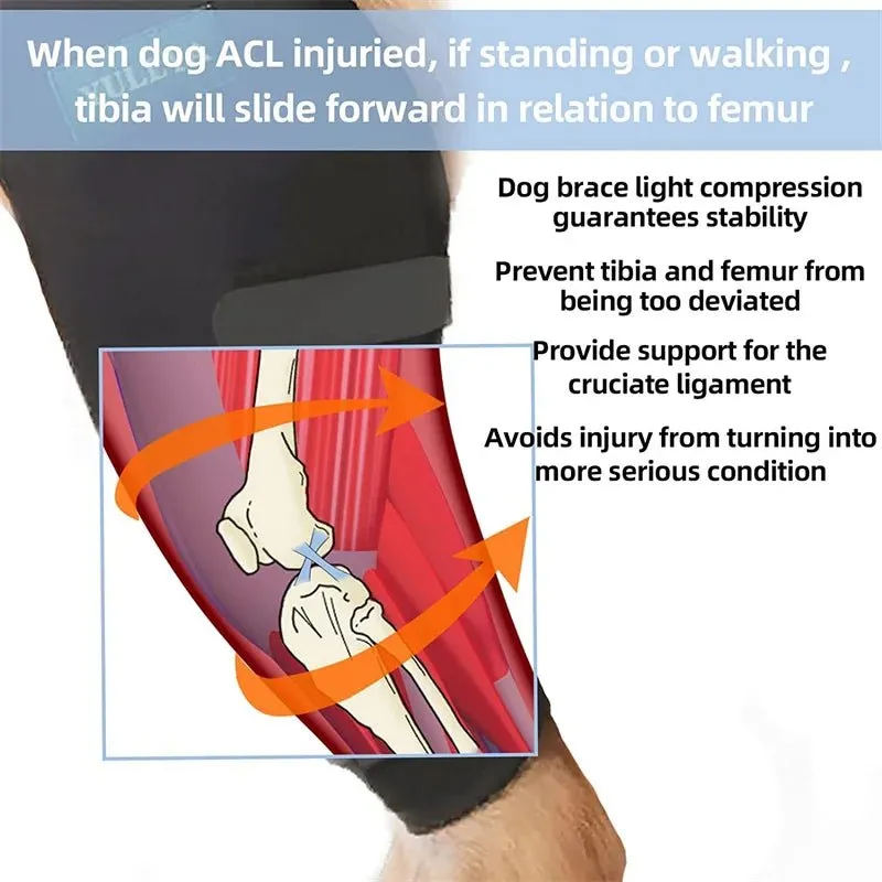 AnniePaw Split Lift Harness Support for Disabled Elderly Dogs