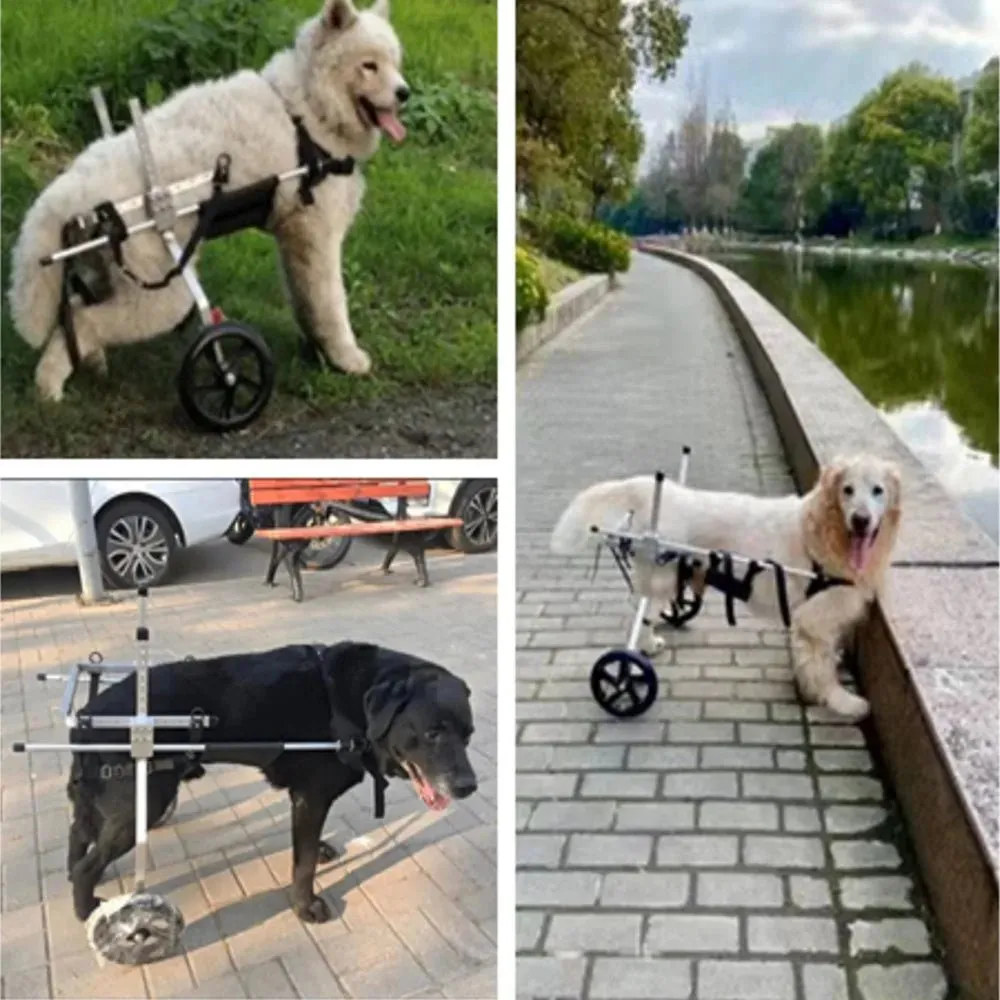 AnniePaw Wheelchair for Hind Limb Support - Mobility Cart for Medium & Large Dogs