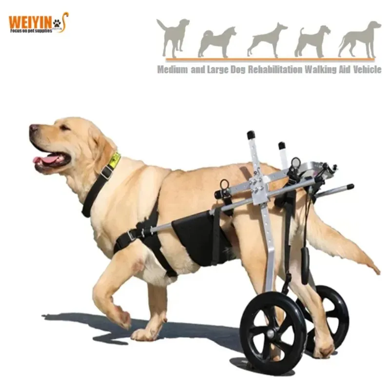 AnniePaw Wheelchair for Hind Limb Support - Mobility Cart for Medium & Large Dogs