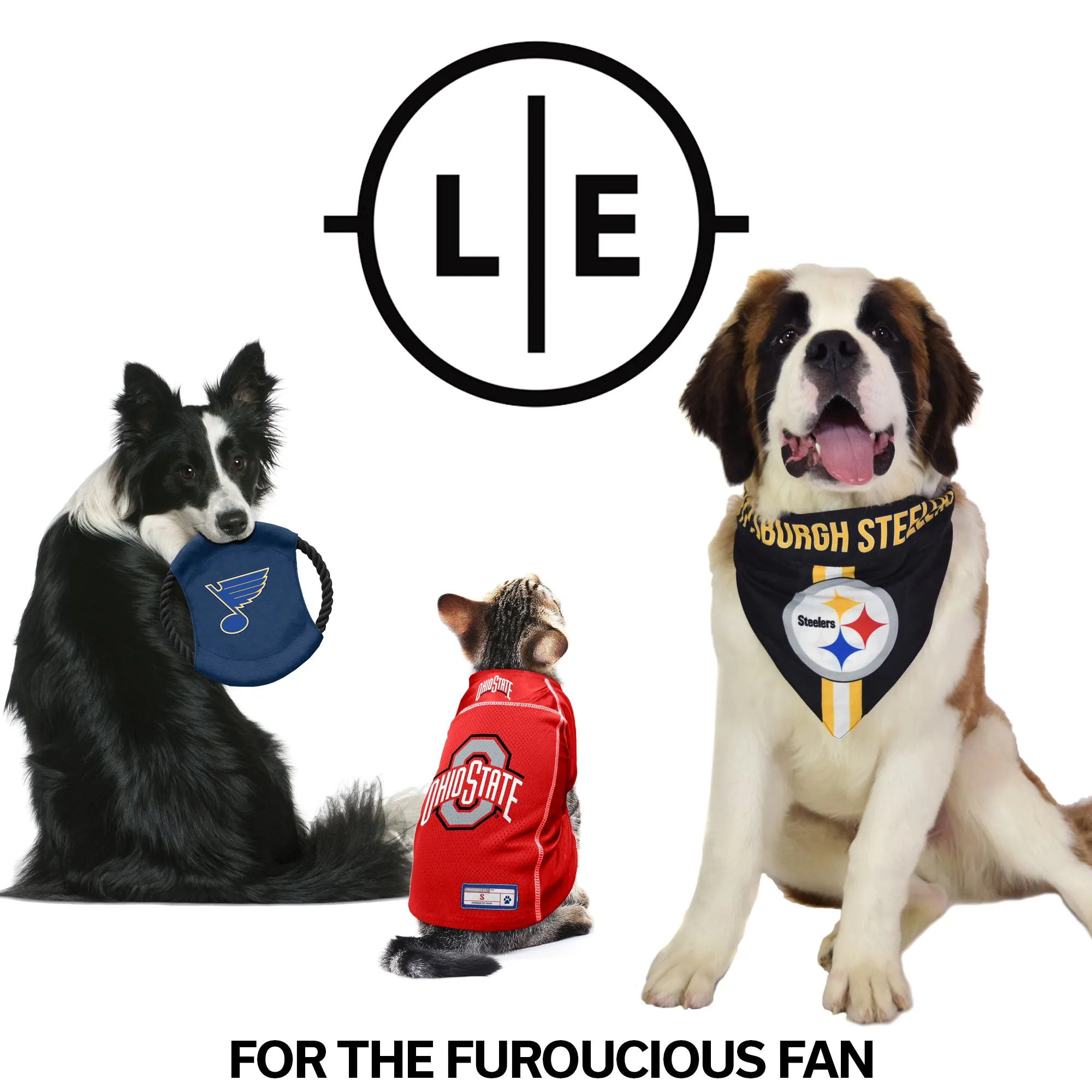 Buffalo Bills Premium Pet Collar