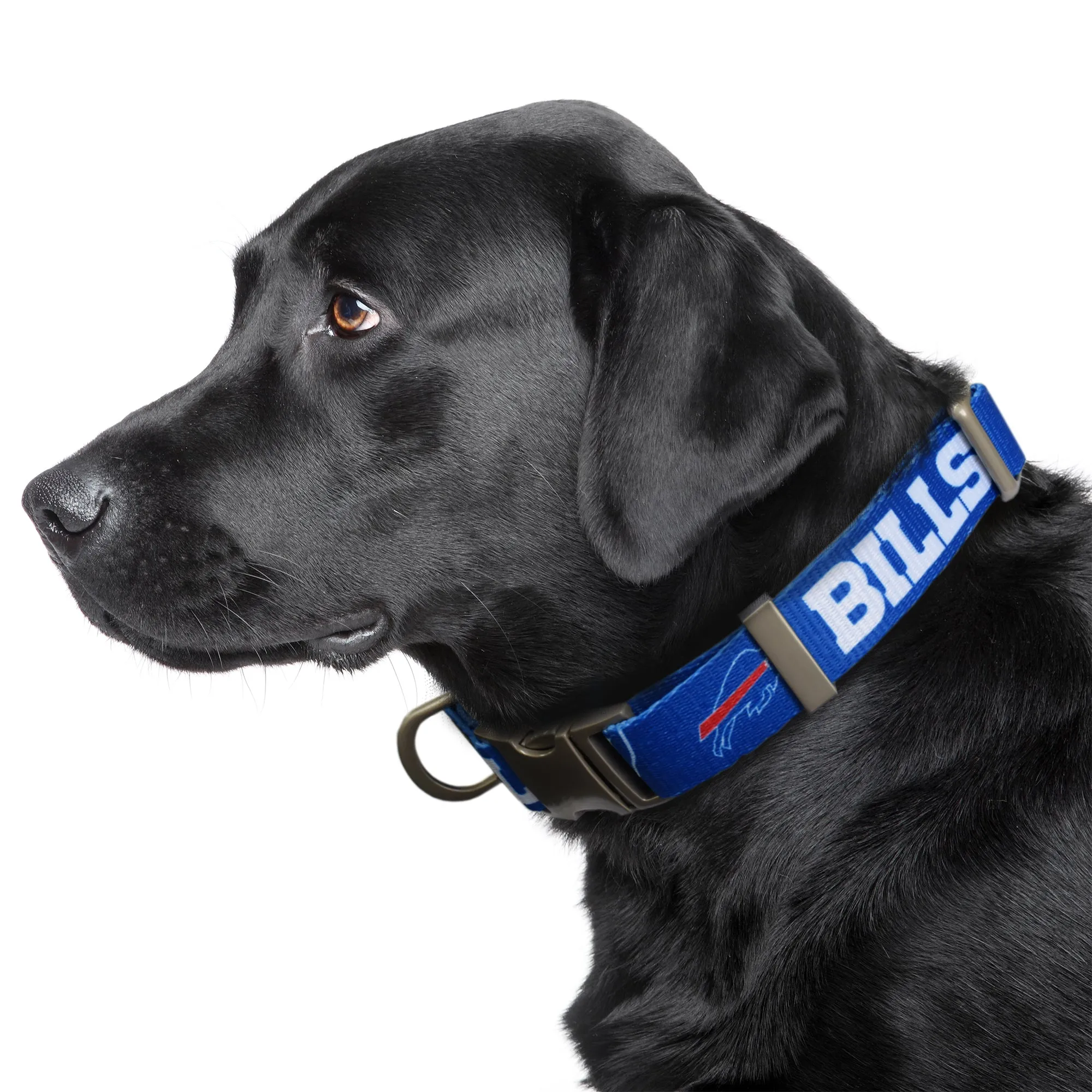 Buffalo Bills Premium Pet Collar