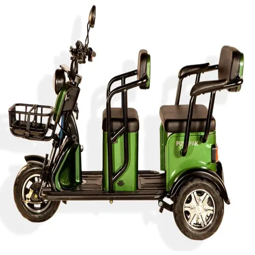 Pushpak 3500 650w 2-Person Electric Trike