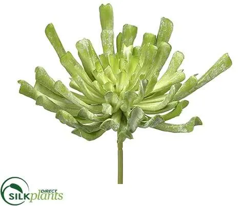Silk Plants Direct Aeonium Pick - Green Flocked - Pack of 6