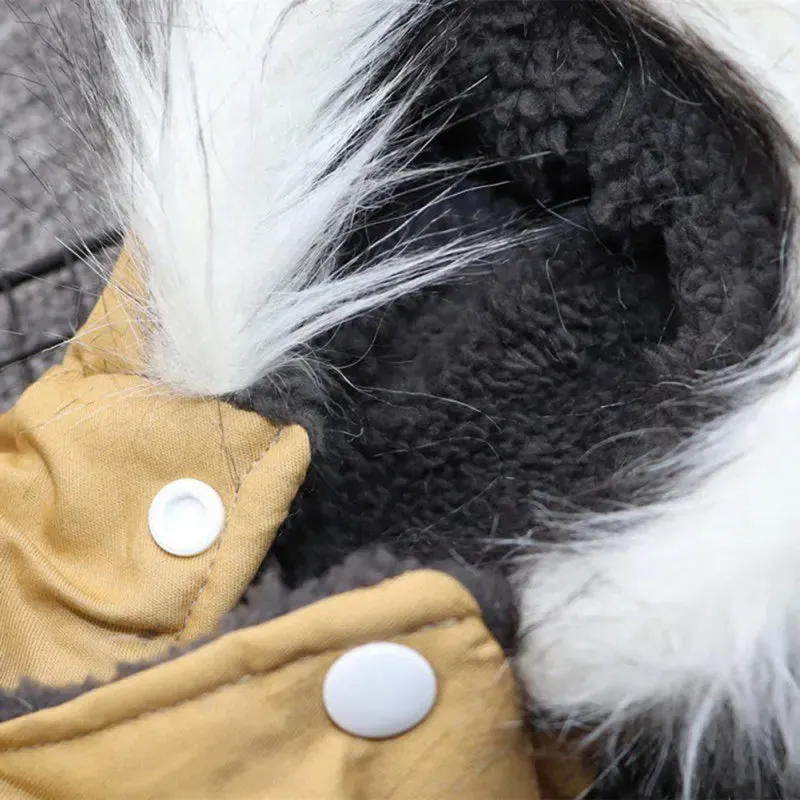 Thick Warm Winter Coat for Small to Medium Dogs - Comfortable and Fashionable